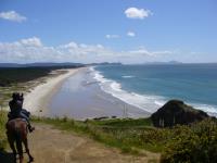 Pakiri Beach Horse Rides  image 1